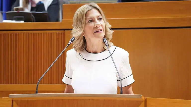 Ser&aacute; la segunda proposici&oacute;n de los populares al respecto