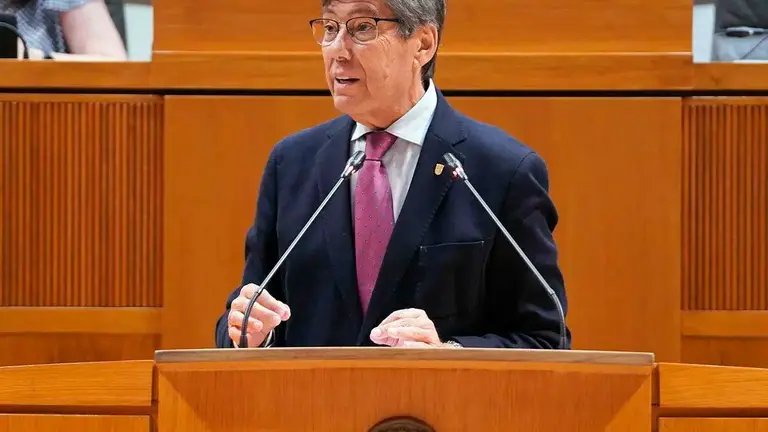 Las hostilidades entre el PP y el PAR han sido constantes en diversas intervenciones parlamentarias a lo largo de la legislatura