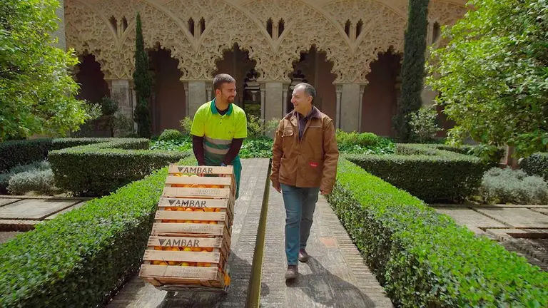 cervezas &aacute;mbar ambiciosa en el Palacio de la Aljafer&iacute;a