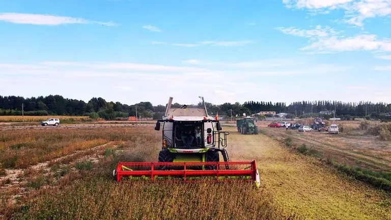 Campo con cosechadora