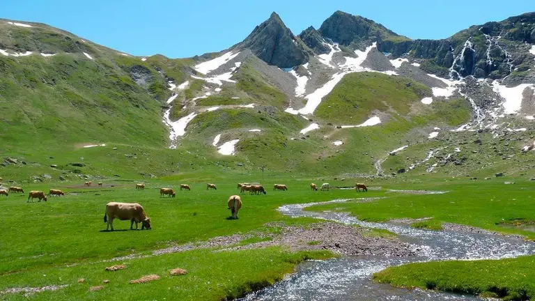 La Plataforma en Defensa de las Monta&ntilde;as de Arag&oacute;n alega que el proyecto es ilegal por ser una zona protegida