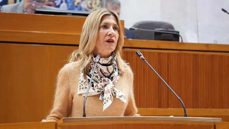 Afean a Goikoetxea que su &uacute;nica experiencia sea "ser activista del 8M"