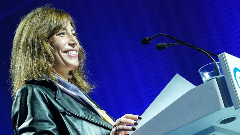 Las declaraciones cruzadas se han intensificado tras la judicializaci&oacute;n del plan Embarcadero