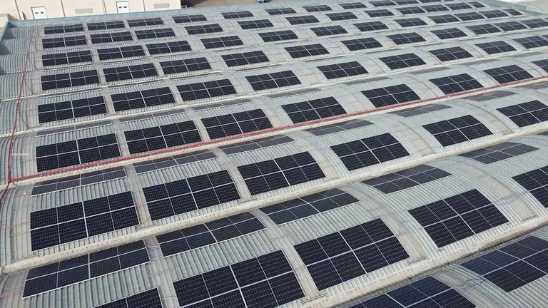 Placas fotovoltaicas 