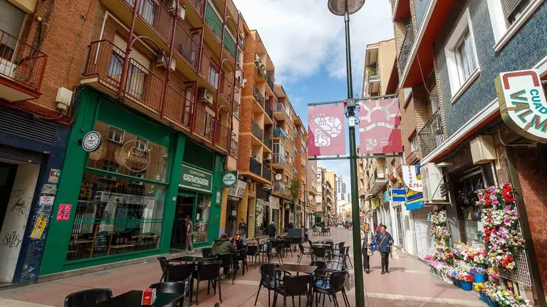 El proyecto supone dar a la calle una imagen m&aacute;s moderna y adaptada