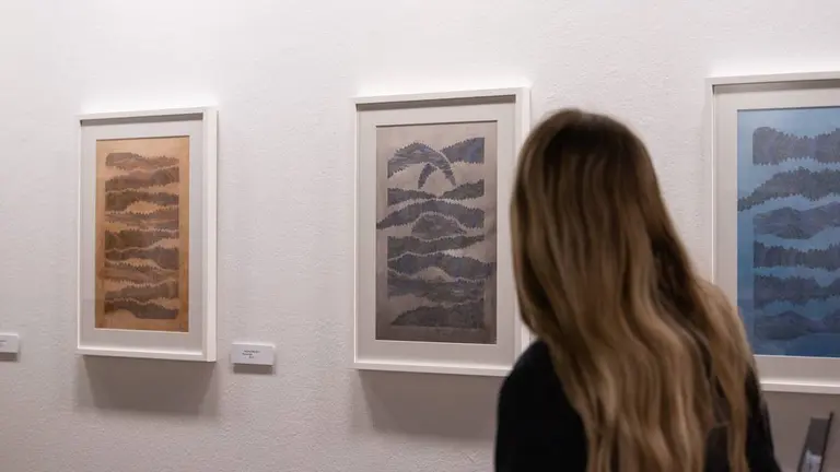 Exposici&oacute;n Palacio de Montemuzo