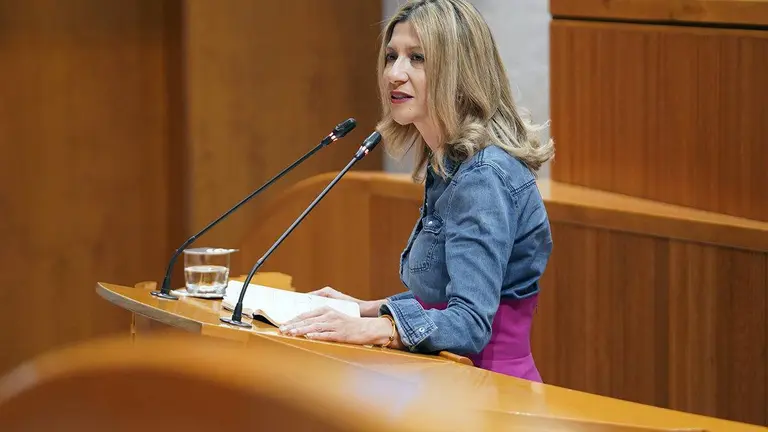 La popular Mar Vaquero cree que Lamb&aacute;n se ha limitado a dar un &ldquo;mitin&rdquo; desde el hemiciclo