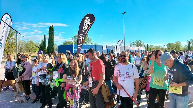 Participantes de la andada canina