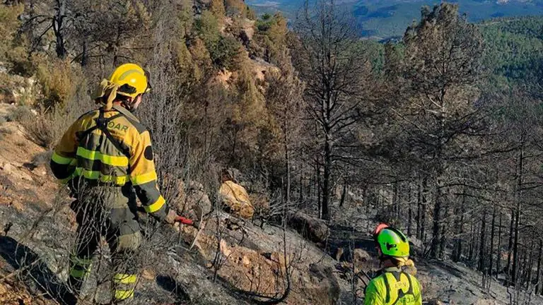 Preocupan los denominados incendios de sexta generaci&oacute;n, aquellos que destacan por su virulencia, como fue el caso del que se origin&oacute; entre Castell&oacute;n y Teruel