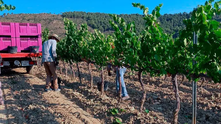 Preocupa la situaci&oacute;n de las personas que trabajan en la campa&ntilde;a de fruta. Foto de archivo