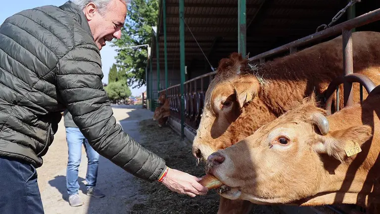 Azc&oacute;n ha anunciado el desarrollo de un programa espec&iacute;fico de ayudas para los j&oacute;venes agricultores y ganaderos