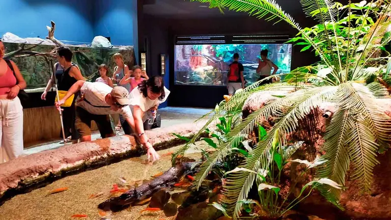 Hasta 16 militares ucranianos heridos de guerra han visitado el acuario de Zaragoza