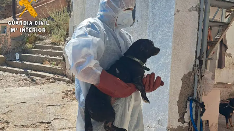 Los animales presentaban desnutrici&oacute;n, deshidrataci&oacute;n, par&aacute;sitos internos y externos, reacciones al&eacute;rgicas y diversas patolog&iacute;as