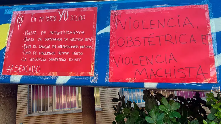 A su juicio, emplear el t&eacute;rmino &ldquo;violencia obst&eacute;trica&rdquo; es un &ldquo;agravio inadmisible&rdquo;