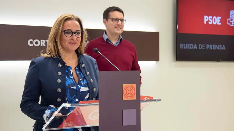 El PSOE ha presentado casi 500 enmiendas. Foto: PSOE Arag&oacute;n
