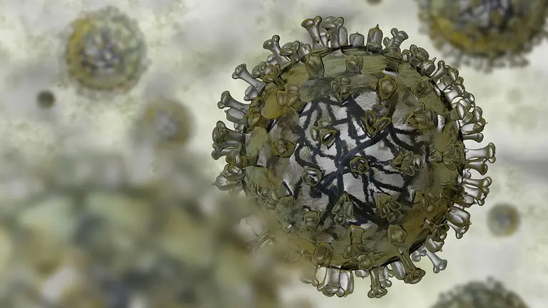 Modelo realista del virus de la gripe