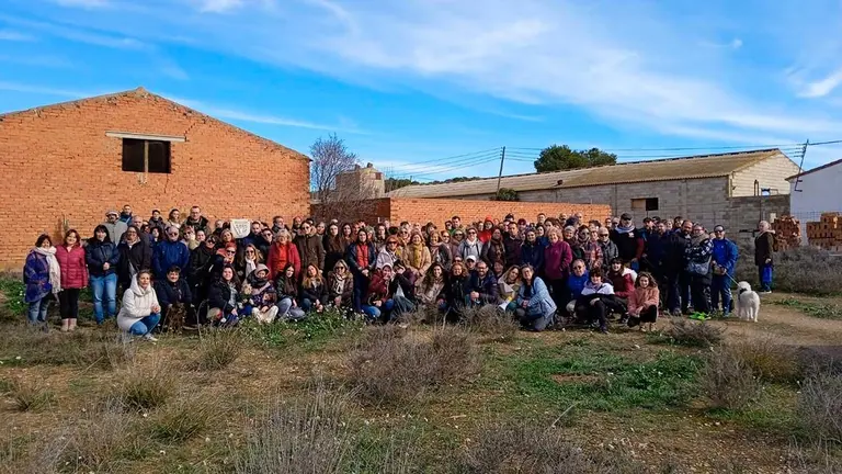 gatos3
