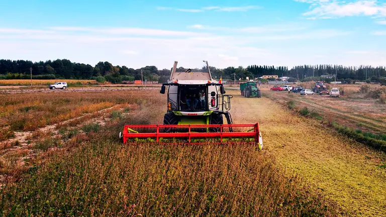 AGRICULTURA