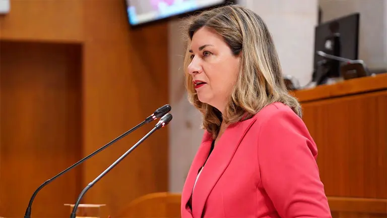 La consejera P&eacute;rez Forni&eacute;s, este jueves en el Pleno. Foto: Cortes de Arag&oacute;n