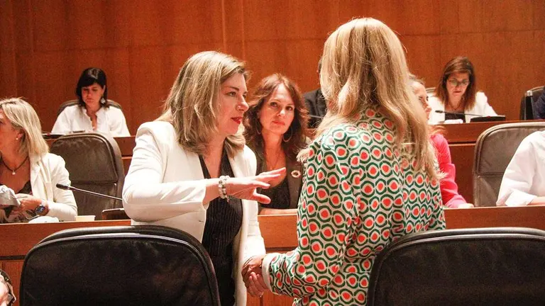 La consejera P&eacute;rez Forni&eacute;s antes del Pleno. Foto: Pilar &Aacute;lvarez