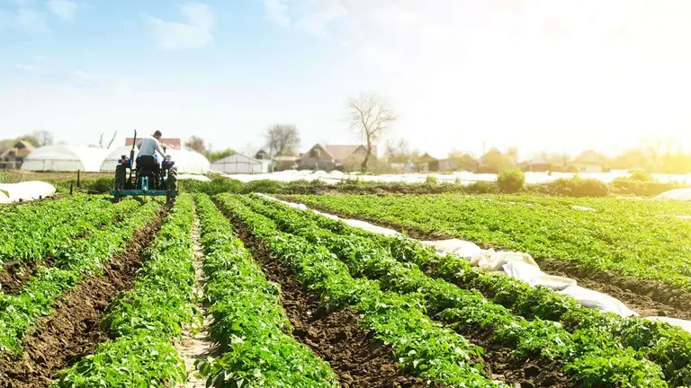 agricultura
