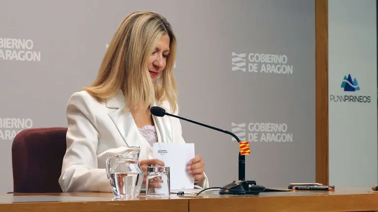 vaquero-dga-consejo-gobierno