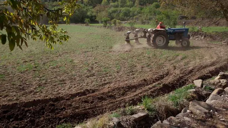 agricultura-seguros