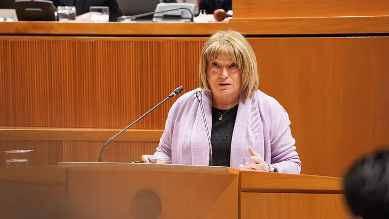 Tomasa Hern&aacute;ndez durante una intervenci&oacute;n. Foto de archivo: Cortes de Arag&oacute;n