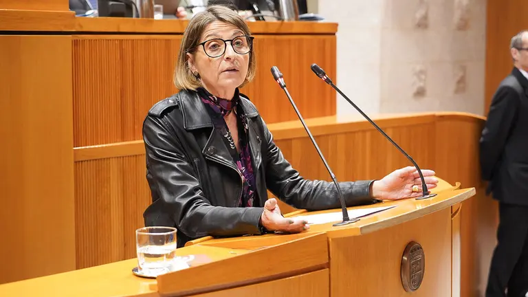 Pilimar Zamora durante un Pleno. Foto: Cortes de Arag&oacute;n