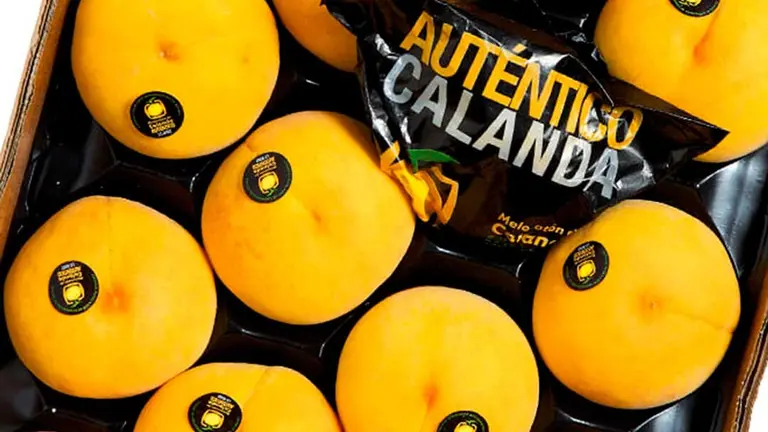 Melocot&oacute;n de Calanda
