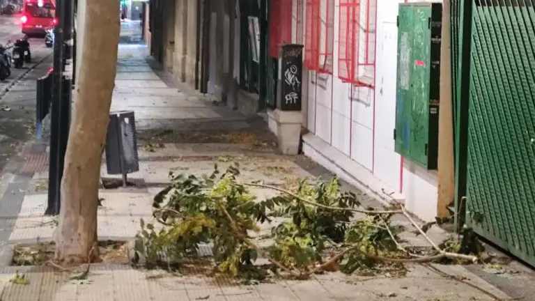 Ramas ca&iacute;das por la tormenta de anoche en Zaragoza