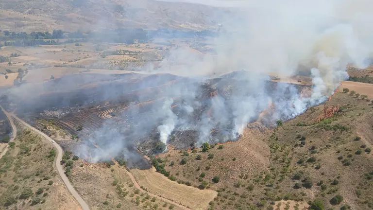 Incendio-Daroca-agosto