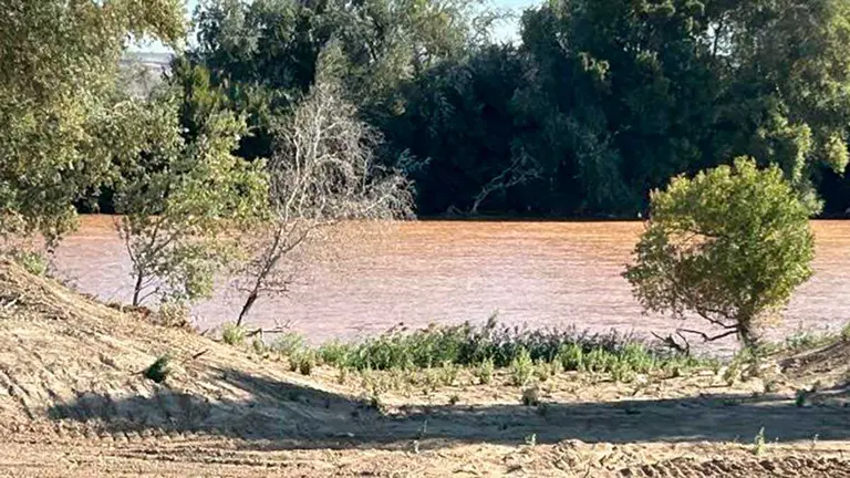 Actuaciones a orillas del Ebro. Foto: DGA