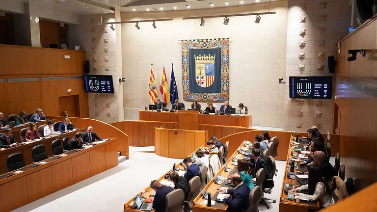 Votaci&oacute;n de las propuestas en el hemiciclo. Foto: Cortes de Arag&oacute;n