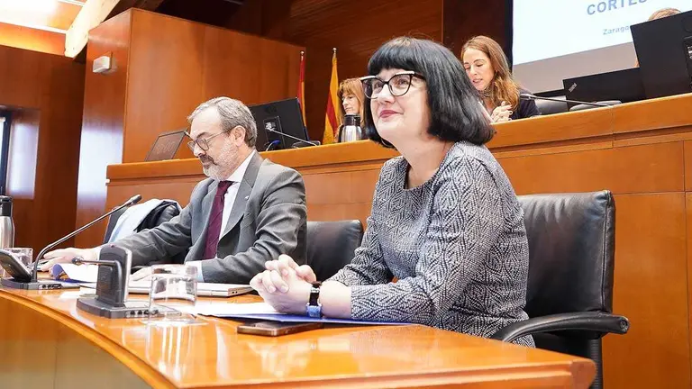 Rogelio Cuair&aacute;n, director general de Feria de Zaragoza, junto a su adjunta, Ana Hern&aacute;ndez, este lunes en las Cortes. Foto: Cortes de Arag&oacute;n