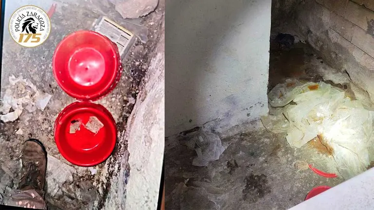 La Polic&iacute;a Local de Zaragoza encontr&oacute; a los tres perros en condiciones insalubres en un piso de El Gancho. Fuente: Polic&iacute;a Local