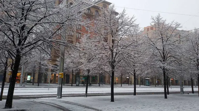 nieve