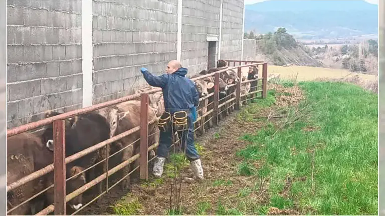 (Foto: Departamento de Agricultura, Ganader&iacute;a y Alimentaci&oacute;n)