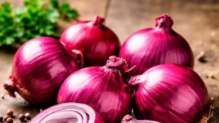 cebollaIA