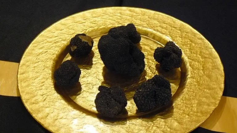 Plato con varias piezas de trufa negra. Foto: Imagen de archivo.