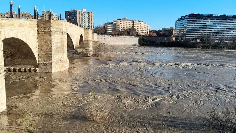 r&iacute;o-Ebro-Zaragoza-crecida-Agua-patos-riberas