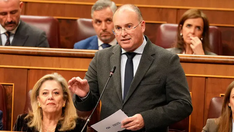 Miguel Tellado interviene en el Pleno del Congreso | Foto del PP