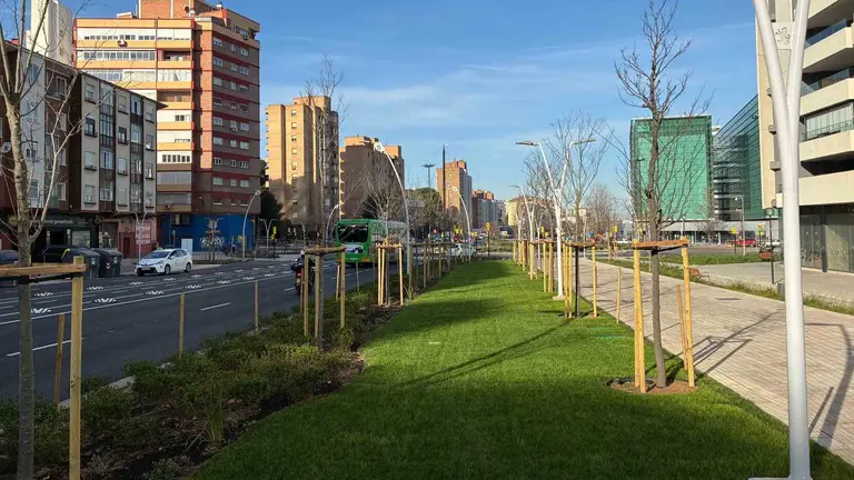 La nueva avenida de Navarra tendr&aacute; m&aacute;s zonas verdes. Foto: Arag&oacute;n Press. Guillermo Pem&aacute;n
