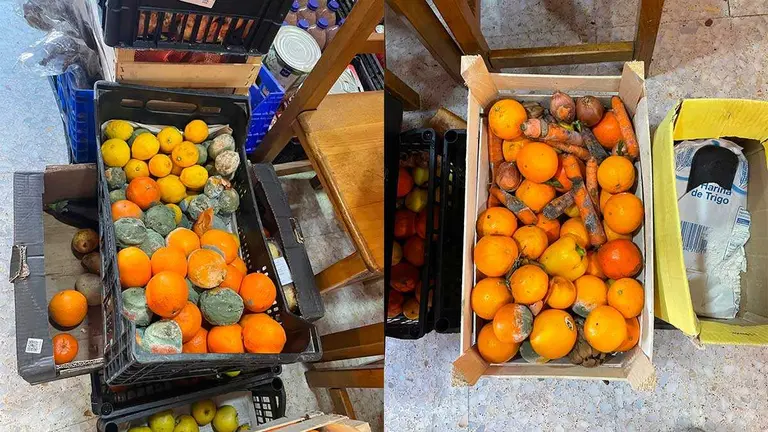Parte de las frutas y verduras en mal estado que se han intervenido en un restaurante del barrio Miralbueno de Zaragoza. Foto: Polic&iacute;a Local