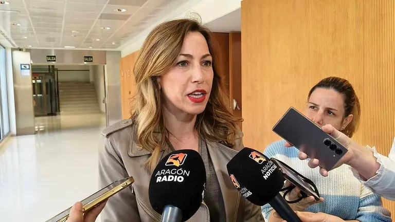 natalia-chueca-proyectos-ciudada-zaragoza-romareda-huerva