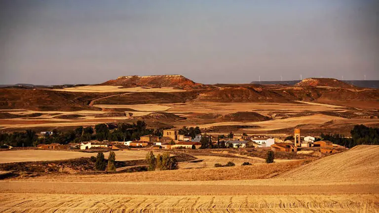 Pozuel-de-Ariza-Cosecha-acabada-(1)