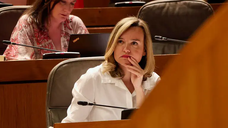 Pilar Alegr&iacute;a este jueves durante el Pleno. Foto: Pilar &Aacute;lvarez