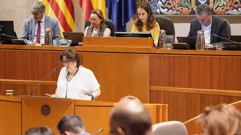 La consejera de Agricultura, Arancha Sim&oacute;n, este viernes en el Pleno. Foto: Cortes de Arag&oacute;n
