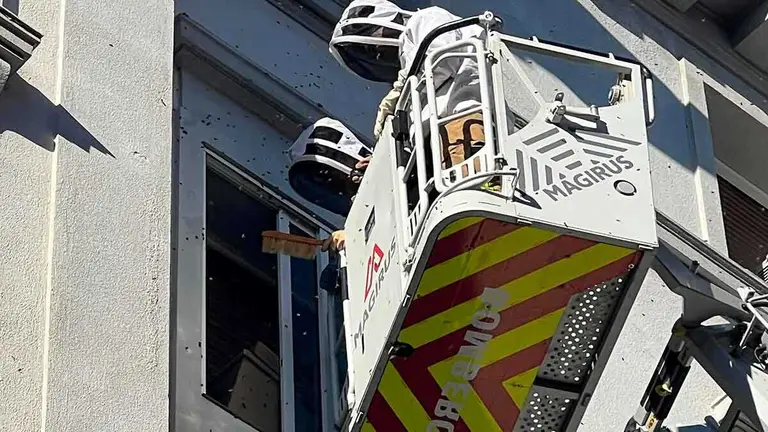 Los Bomberos de Zaragoza han actuado este jueves por un enjambre de abejas en el centro de Zaragoza. Foto: M. R.