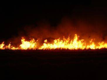  En Aragón, se observa que un 20%-25% de los incendios se producen por los rayos
